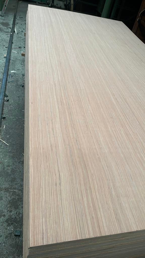 Hardhout multiplex 122x244 dikte 9 mm, Doe-het-zelf en Verbouw, Ophalen, Nieuw, Multiplex, Minder dan 20 mm