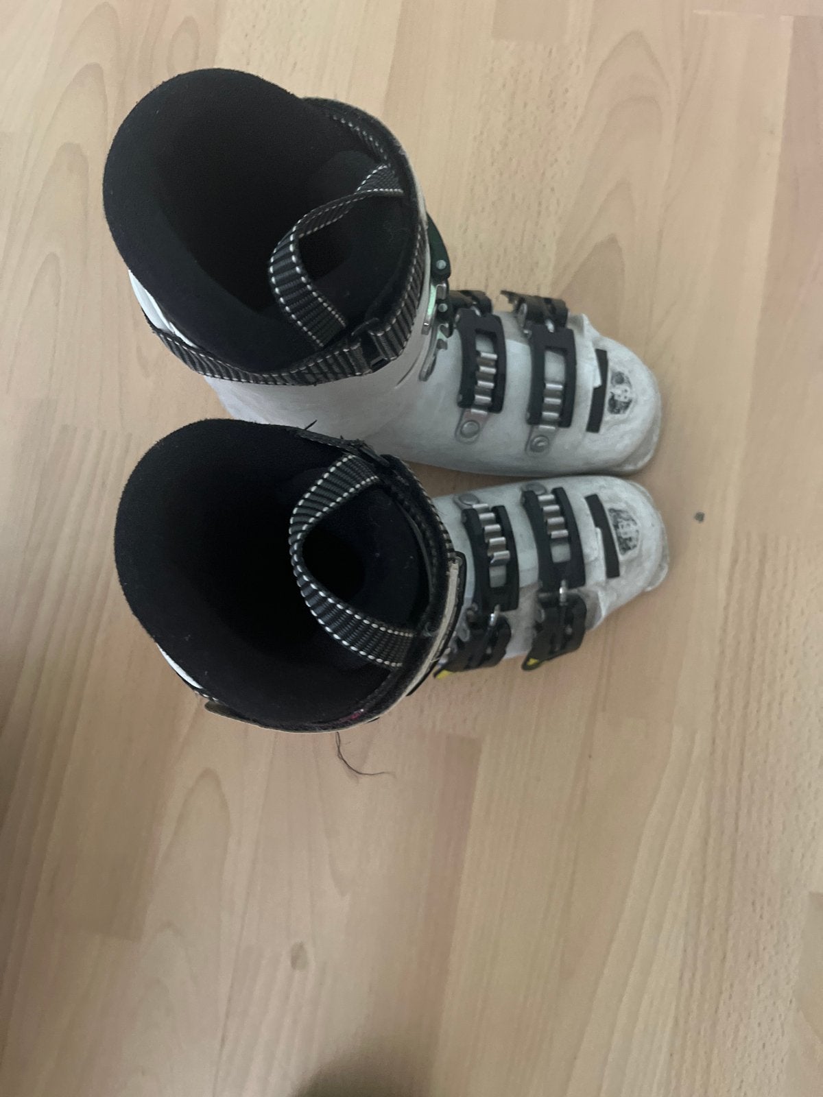 Salomon skischoenen - Gebruikt, Ophalen, Gebruikt, Schoenen, Salomon