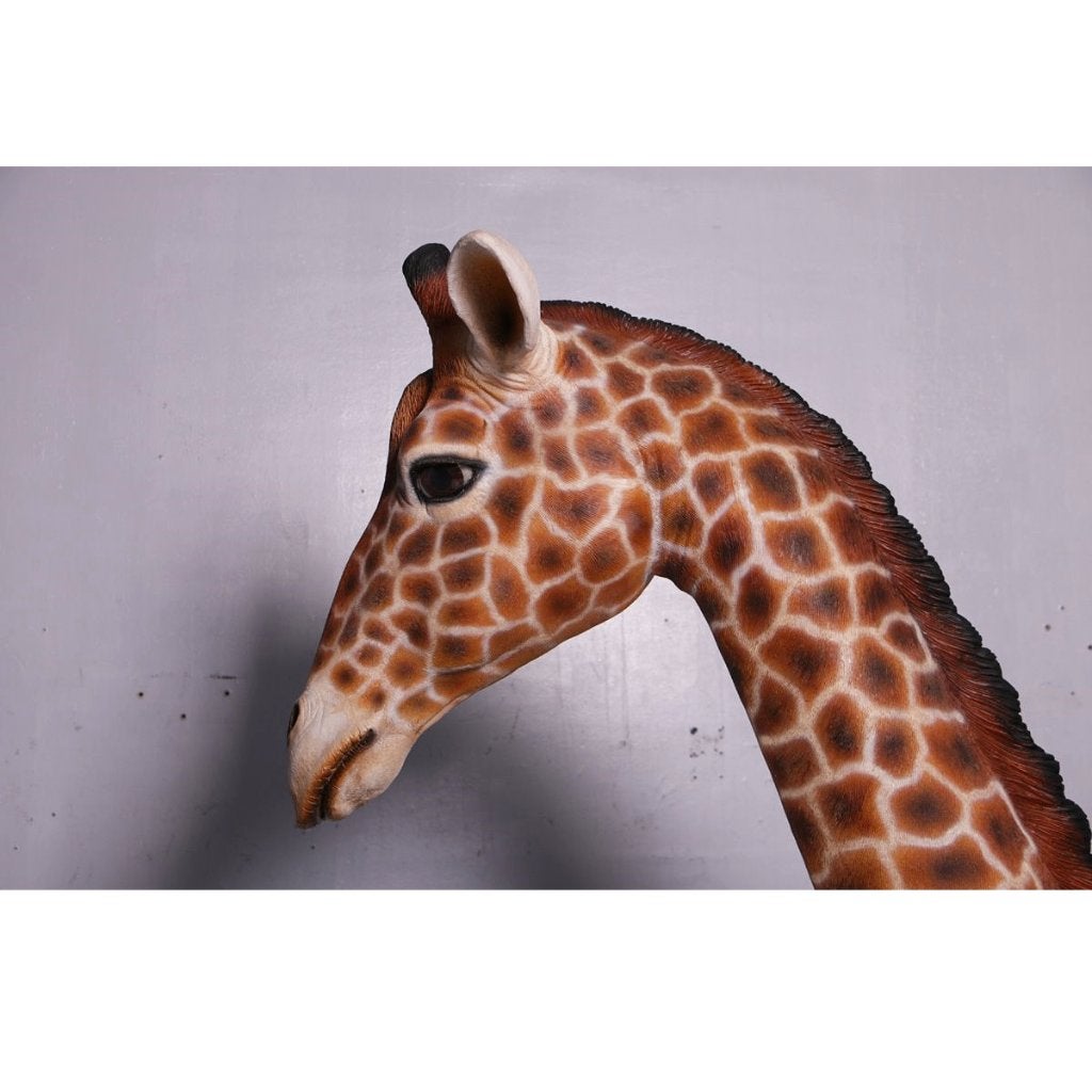 Sitting Giraffe beeld – Giraf Hoogte 200 cm, Ophalen, Nieuw, Overige typen
