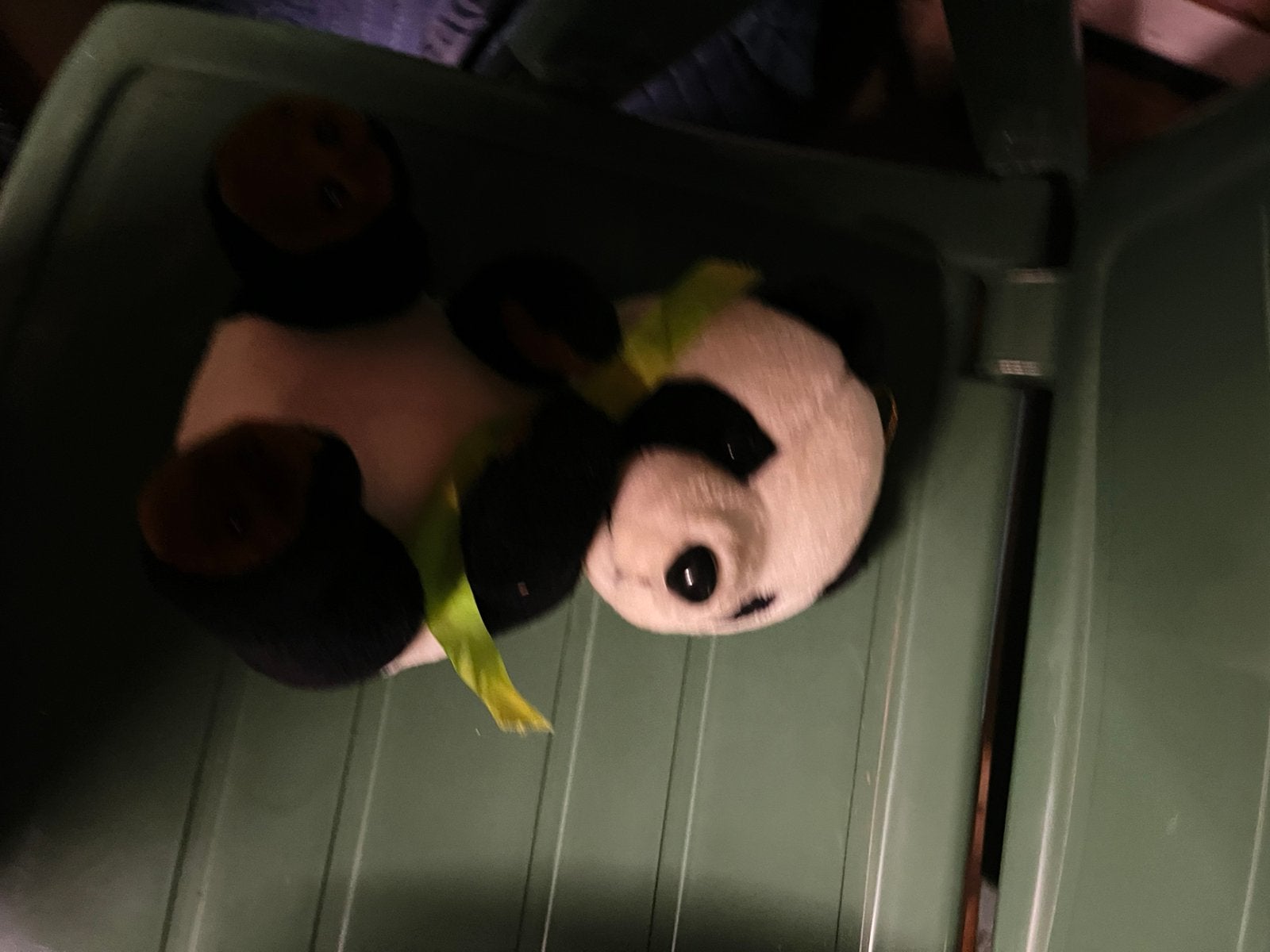 Pandabeer knuffel, Kinderen en Baby's, Ophalen, Gebruikt, Beer, Middelgroot (20 tot 80 cm)