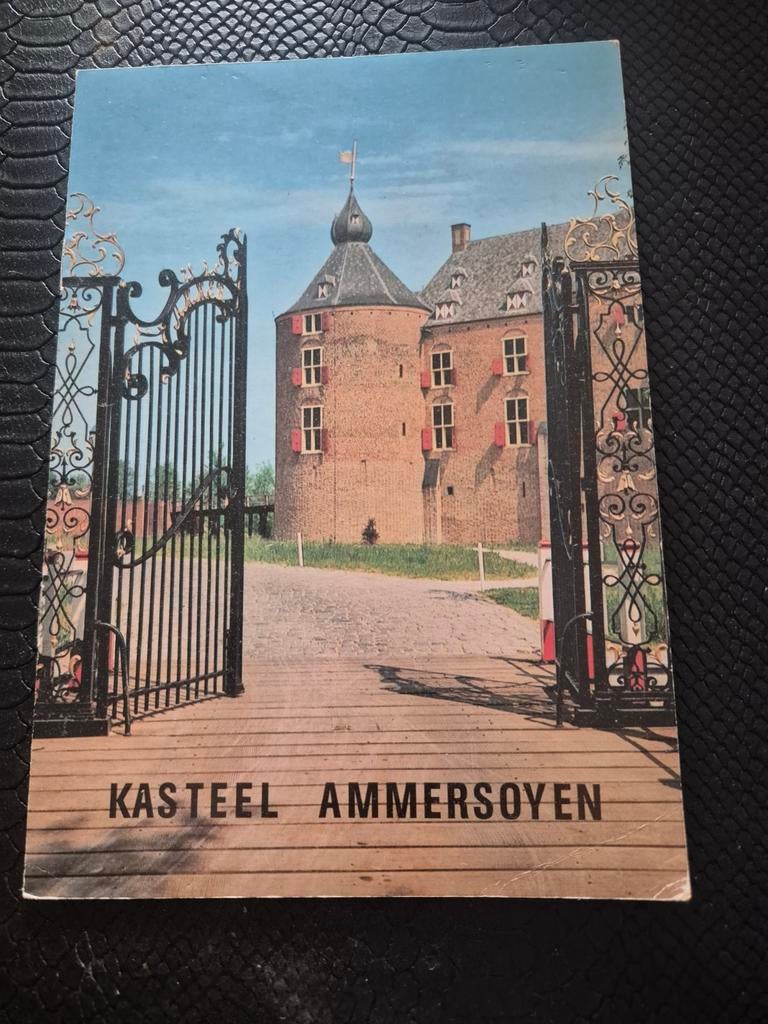 Kasteel Ammersoyen, Boeken, Ophalen of Verzenden, Zo goed als nieuw