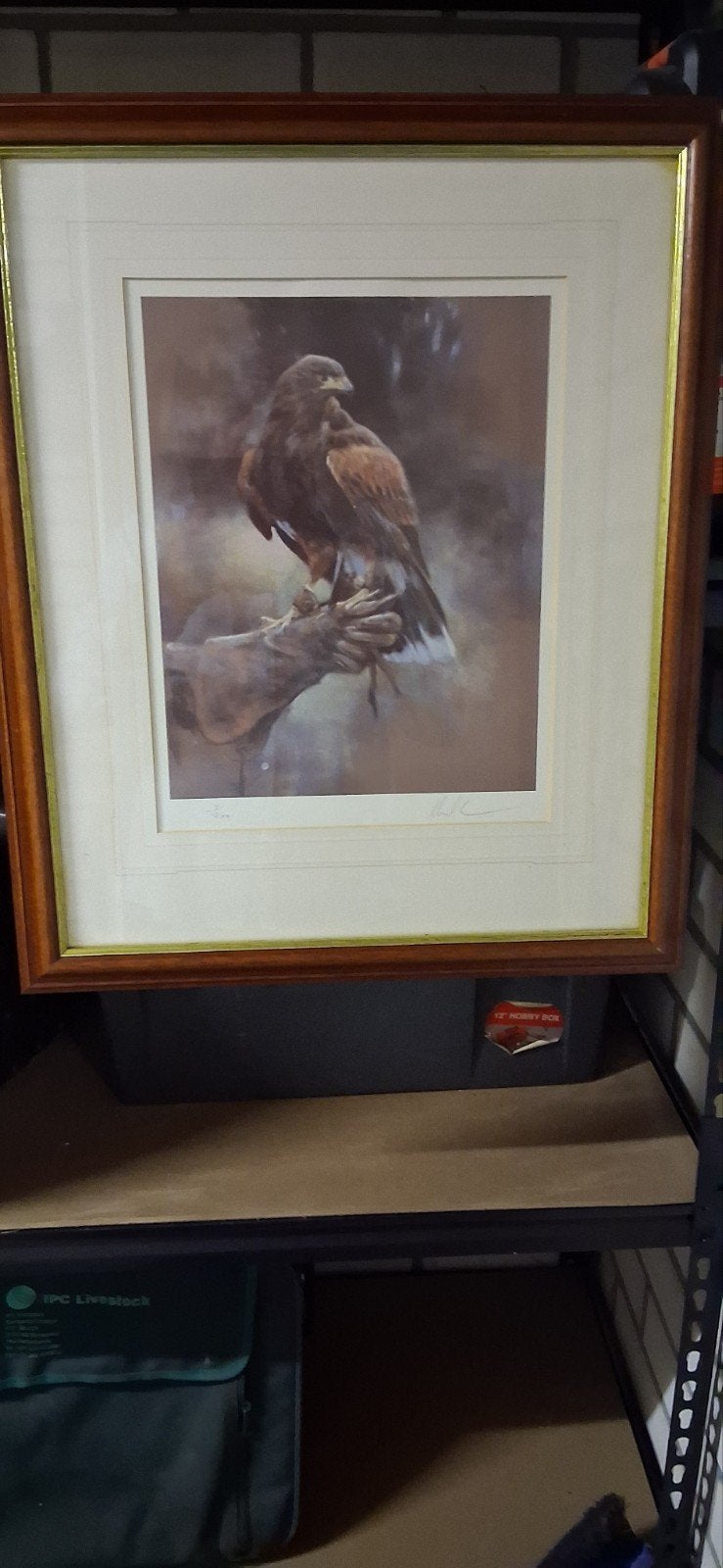 Set van 3 ingelijste prints: Jachttaferelen en roofvogel, Ophalen, Handgeschilderd, Landschap, Tekening