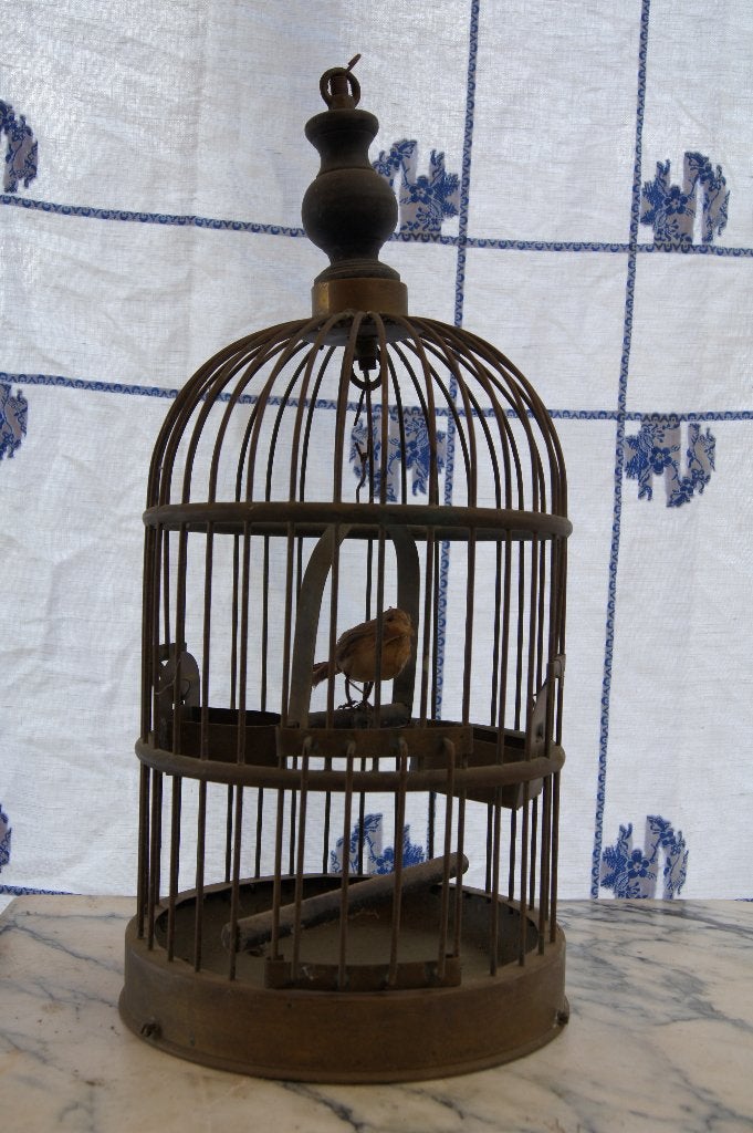 Vogelkooi met vogel ( Antiek, Antiek en Kunst, Ophalen