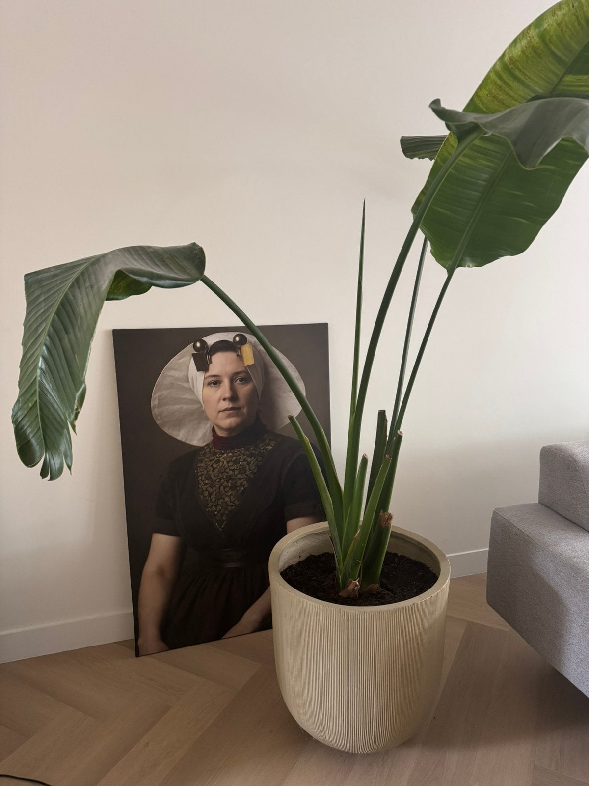 Nieuw, groot canvas doek, Ophalen