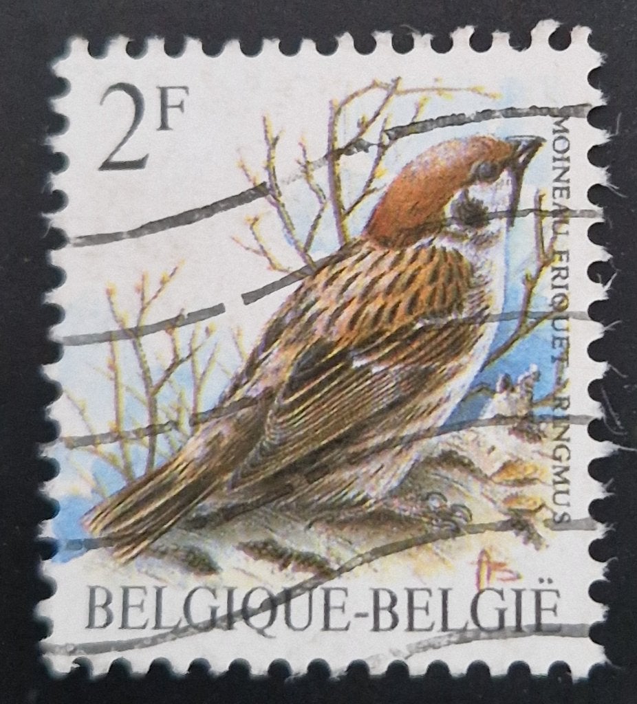 België 1989 - OBP 2347 - Buzin Vogel Ringmus, Frankeerzegel, Ophalen of Verzenden, Gestempeld, Gestempeld