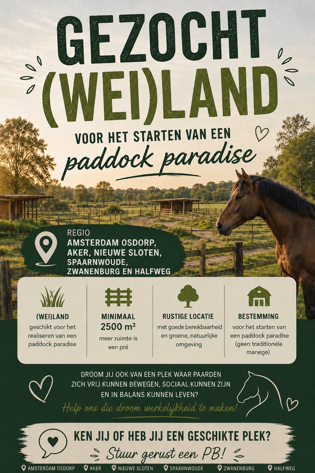 Gezocht weiland regio Amsterdam, Weidegang, 2 of 3 paarden of pony's