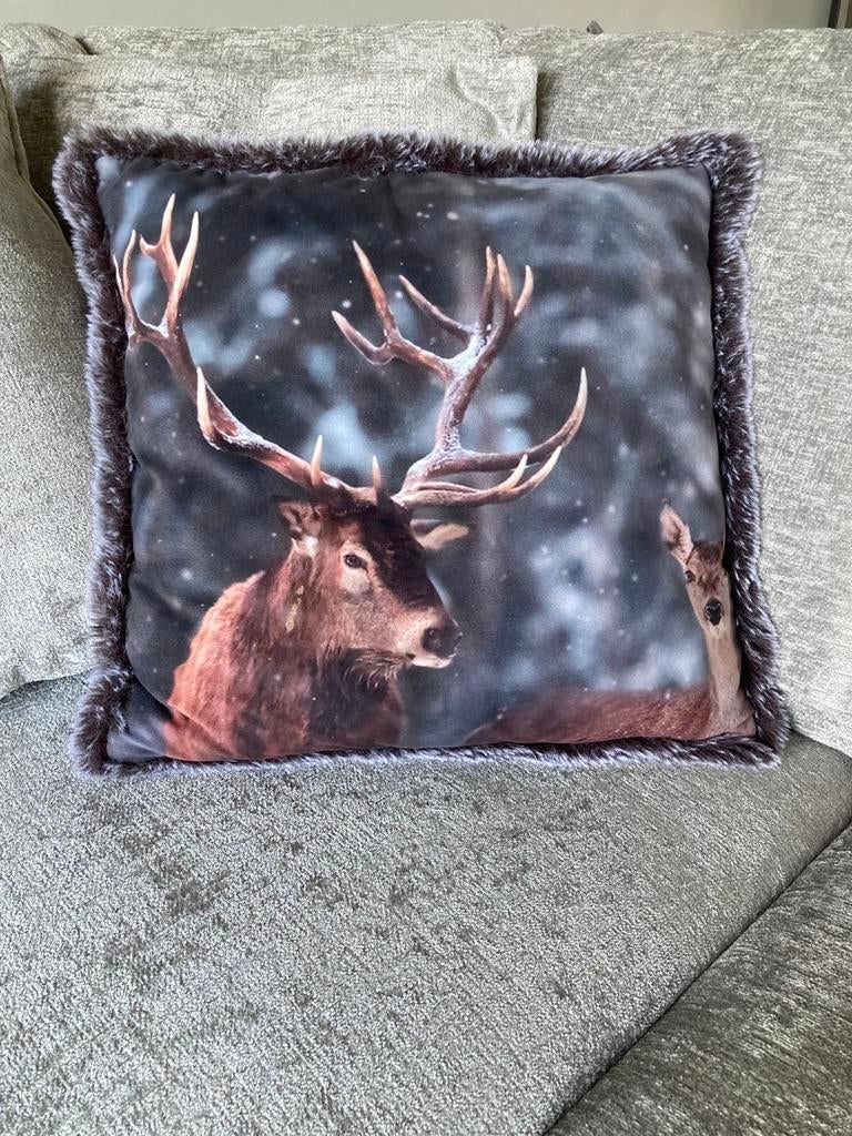 Mooi kussen 45x45 cm, Ophalen of Verzenden, Nieuw, Groen, Vierkant