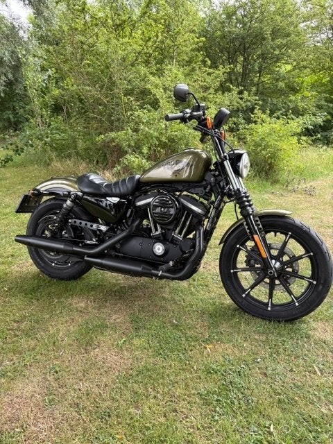 Harley Davidson Sportster Iron 883, 2 cilinders, Occasion, 883 cc, Particulier