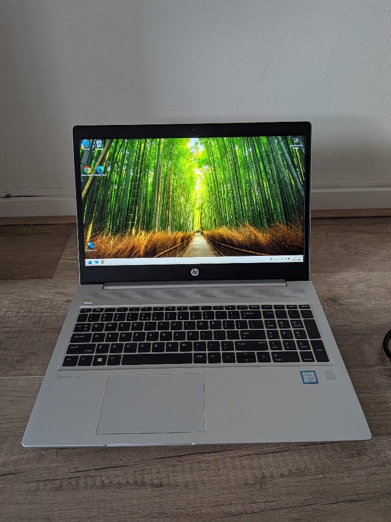 HP ProBook 450 G6 – Full HD | 8GB RAM | 250GB SSD | Win 11