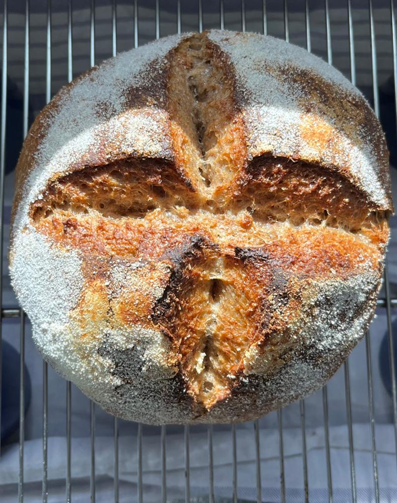 Gedroogde volwassenen starter zuurdesem., Diversen, Levensmiddelen, Verzenden