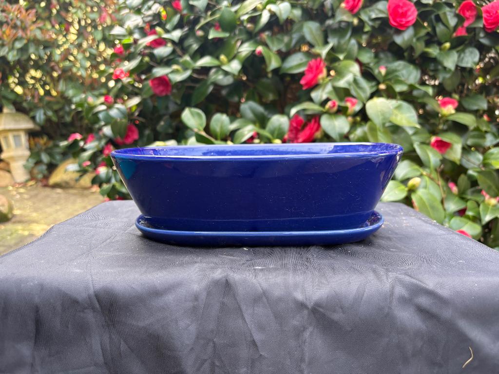 Bonsai Schaal , Set 15, Ophalen, Gebruikt, Overige vormen, Aardewerk