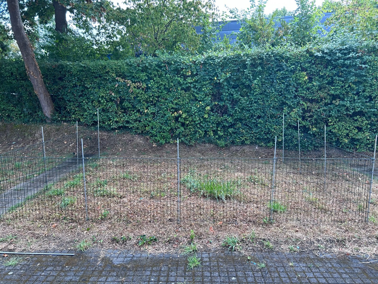 Tuin  afzetting gezoch!!!, Tuin en Terras, Tuinhekken en Hekwerk, Ophalen, Gebruikt, Overige materialen, Overige typen