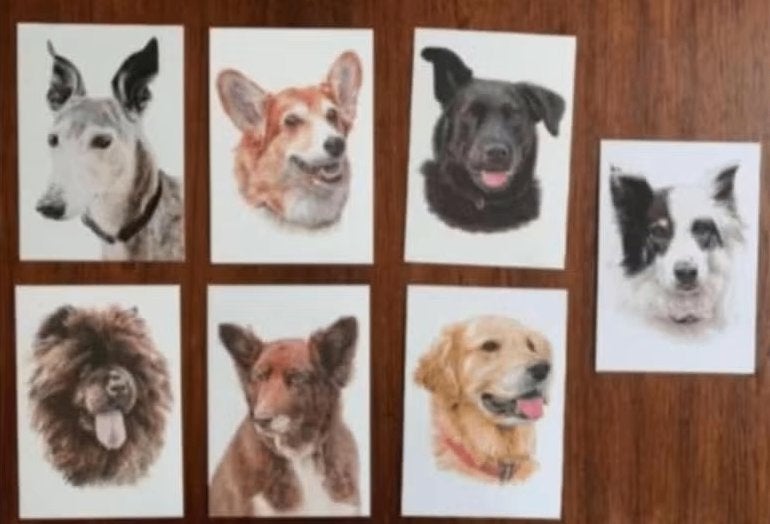 7 ansichtkaarten, kaarten hond, honden, Ophalen of Verzenden, Ongelopen, Hond of Kat