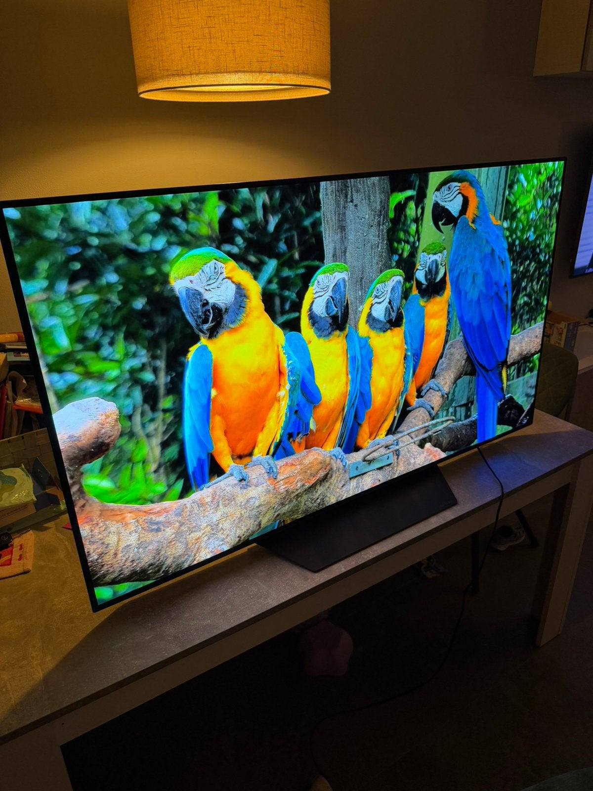 Te koop LG Oled55B16LA