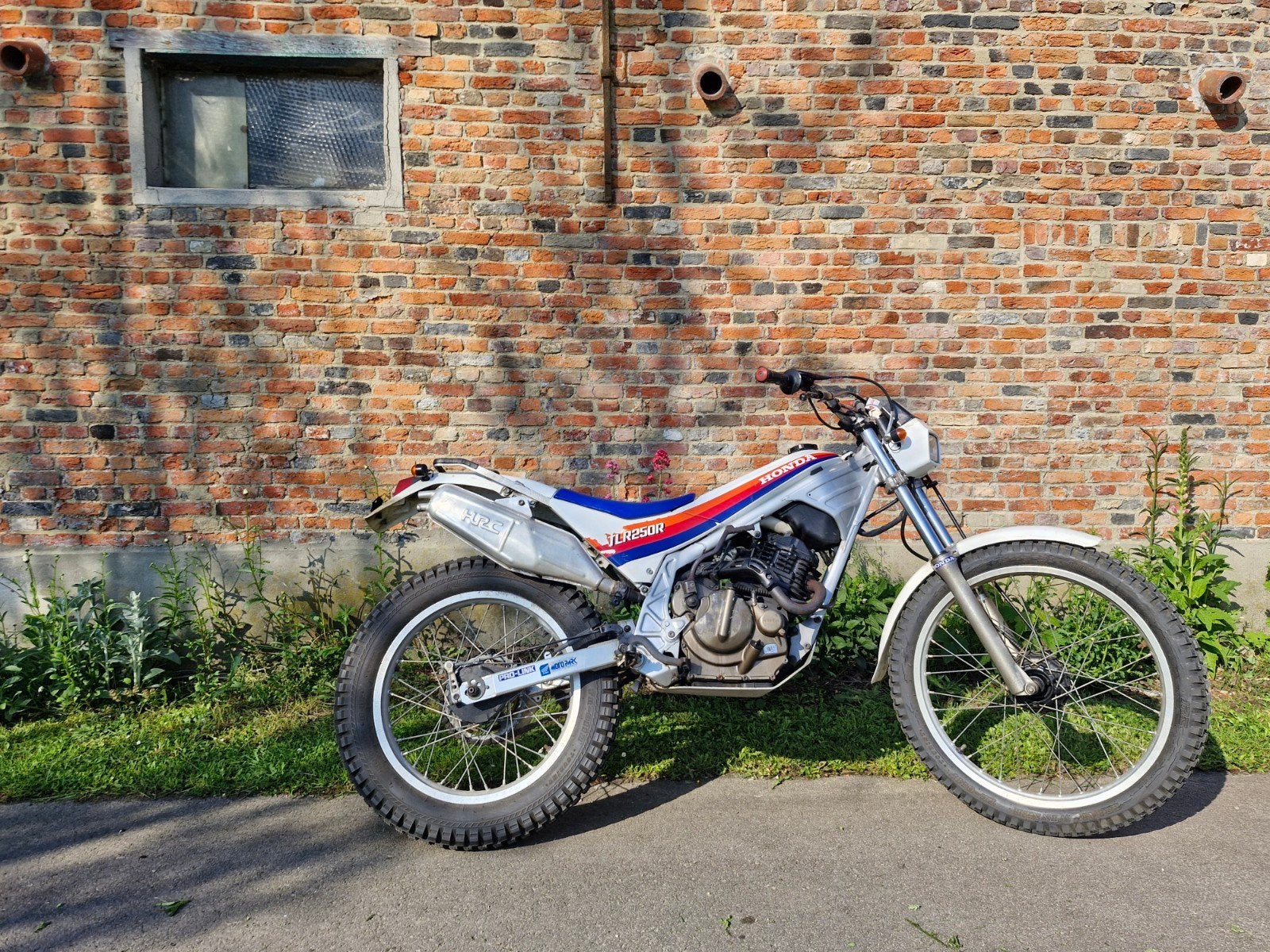 tlr250r trial Honda tlr250, Fietsen en Brommers, Ophalen of Verzenden, Honda