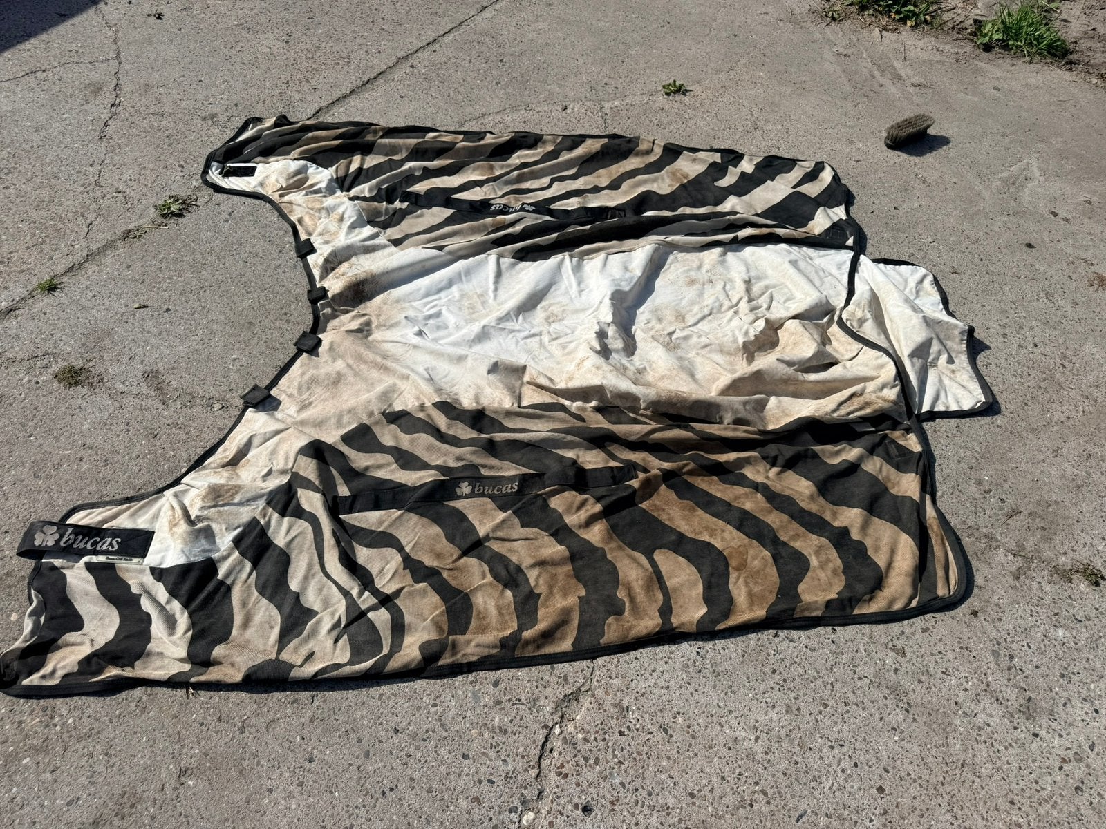 Bucas buzz of rain zebra 6’9 (205), Ophalen of Verzenden, Gebruikt, Deken, Bucas