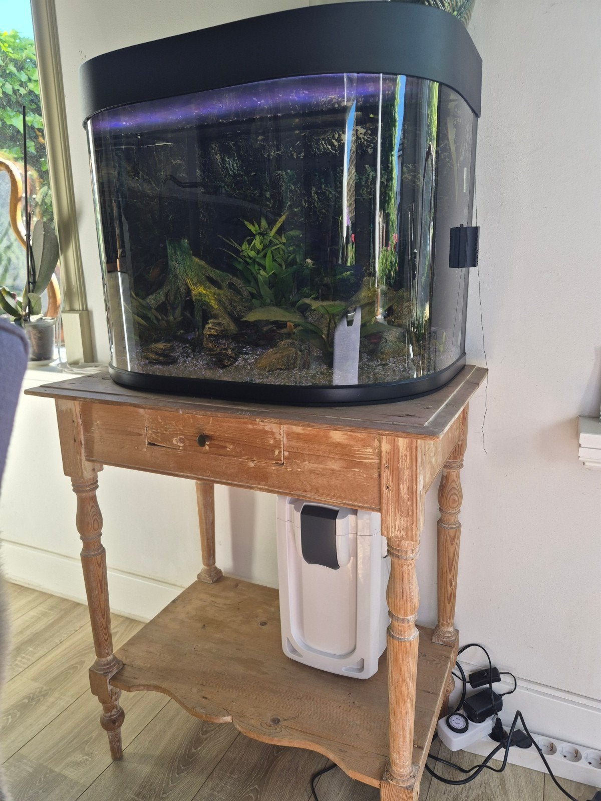 Aquarium met extern filter, Ophalen