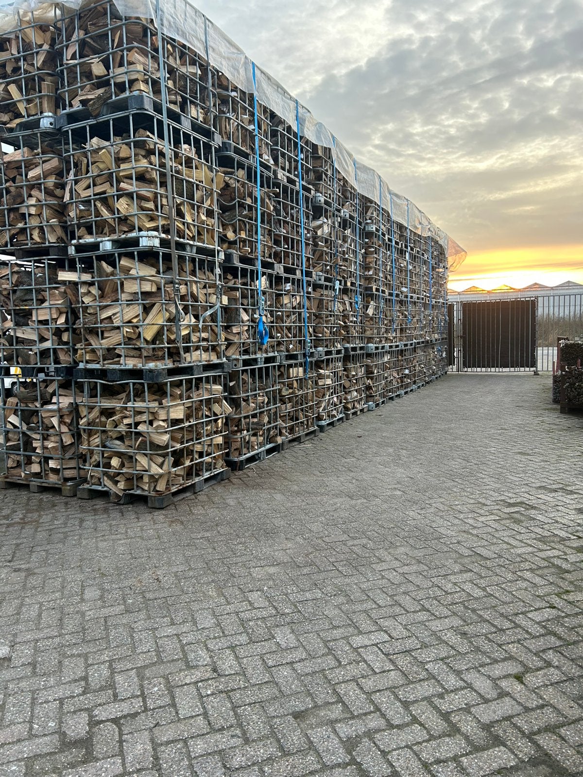 Vers gekloofd beukenhout, 6 m³ of meer, Ophalen of Verzenden, Beukenhout, Blokken