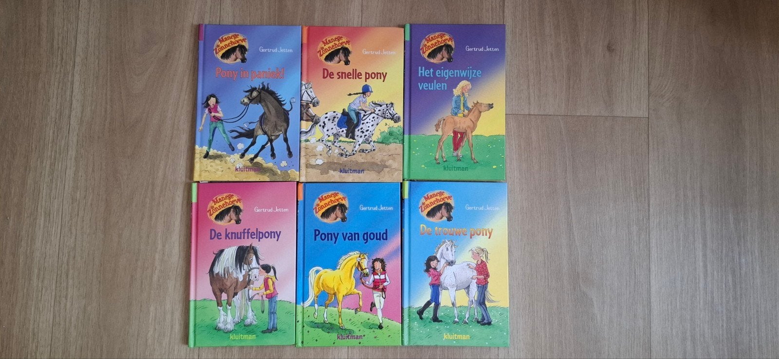 Manege de Zonnehoeve boeken, Ophalen of Verzenden, Zo goed als nieuw, Gertrud Jetten