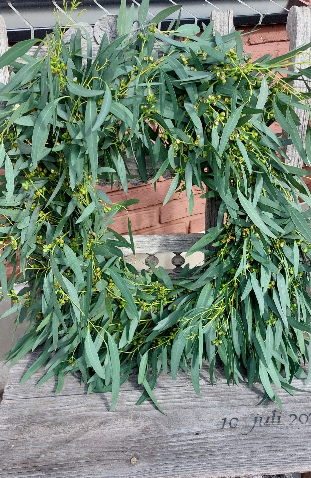 GRATIS Verse Eucalyptus Takken - Groendecoratie & Kransen, Tuin en Terras, Ophalen, Eenjarig, Overige soorten, Volle zon