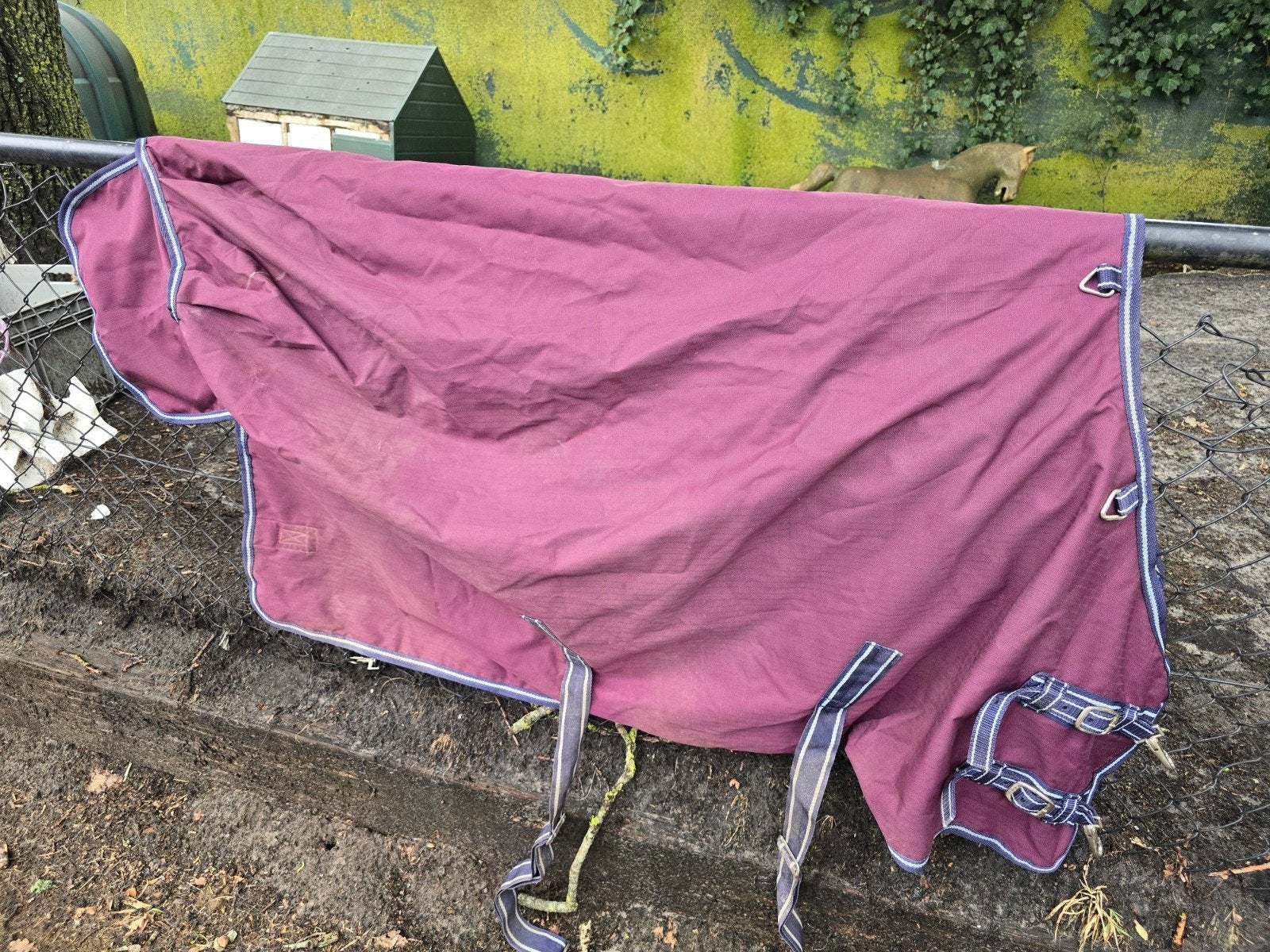 regendeken Epplejeck, Ophalen of Verzenden, Zo goed als nieuw, Regendeken, Epplejeck