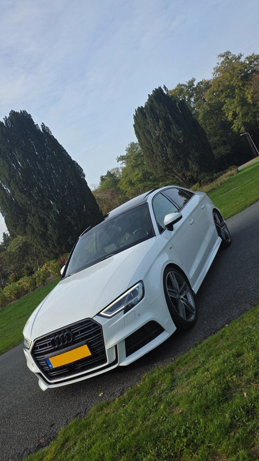 Audi A3 2.0 TDI 150pk S Tronic 2017 Wit, 1325 kg, 4 cilinders, Wit, Bedrijf