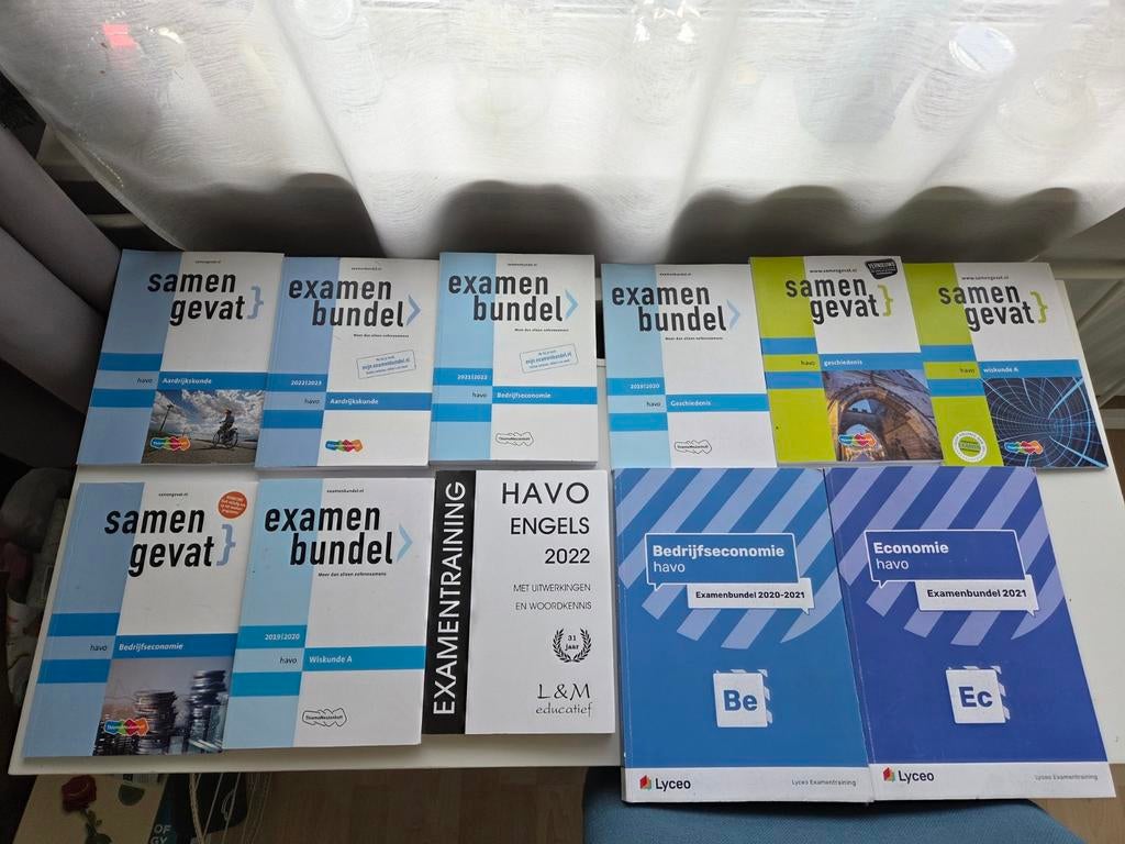 Examenbundel, samengevat HAVO, Computers en Software, Ophalen, Nieuw, Toner