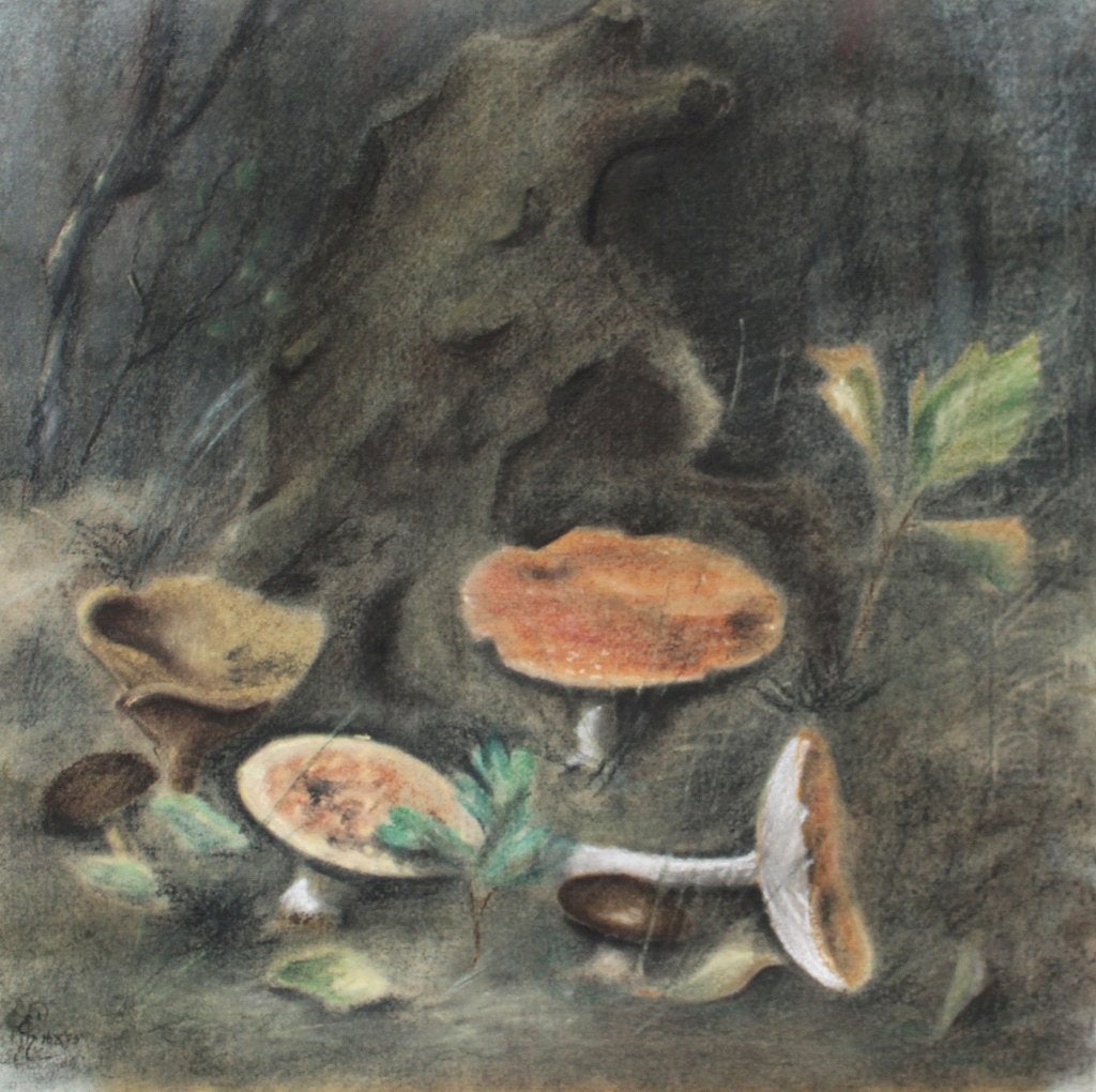 pastel - 'Paddenstoelen in het Bos' - 1953, Antiek en Kunst, Ophalen, Gesigneerd, Impressionistisch, Papier