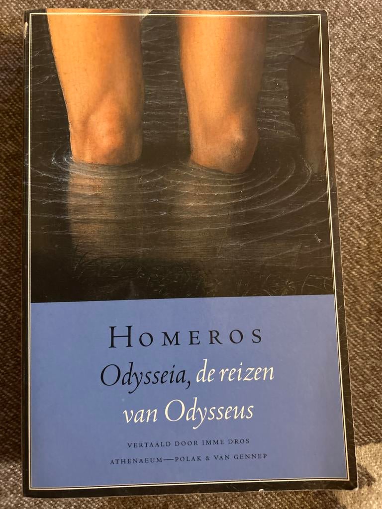 Homeros - Odysseia, de reizen van Odysseus (Imme Dros), Boeken, Ophalen of Verzenden, Zo goed als nieuw, Europa overig
