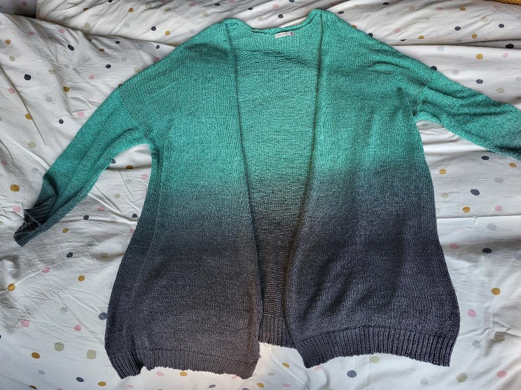Vest Bonaparte 3XL, Kleding | Dames, Maat 46/48 (XL) of groter, Ophalen of Verzenden, Zo goed als nieuw, Grijs
