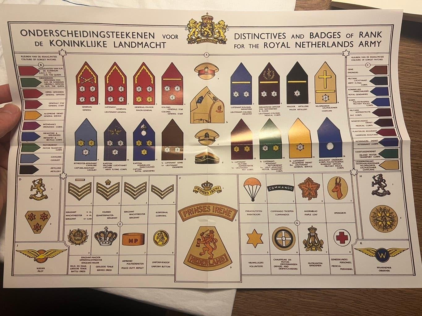 Nederlands PIB plaat emblemen parachute baret leeuw, Verzenden, Nederland, Embleem of Badge