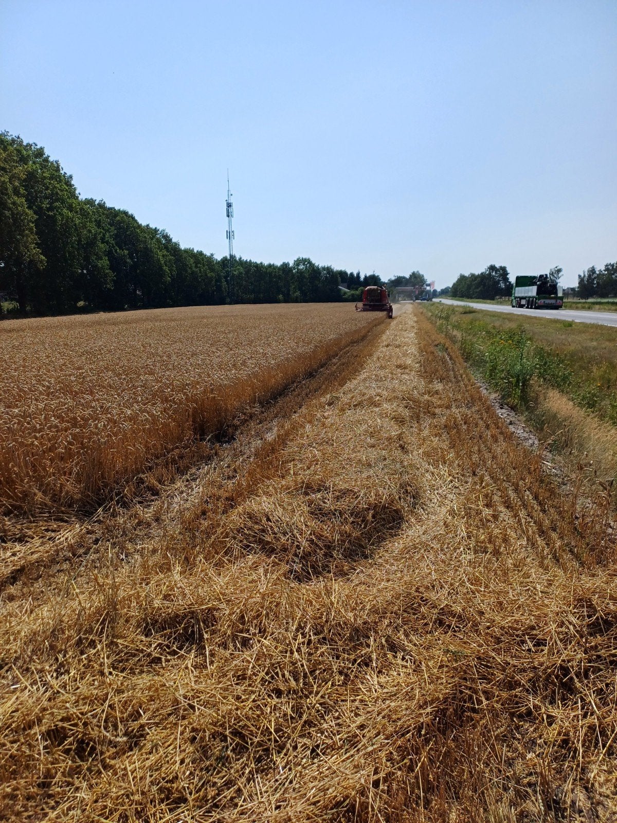 Kleine tarwe strobaaltjes, Ophalen