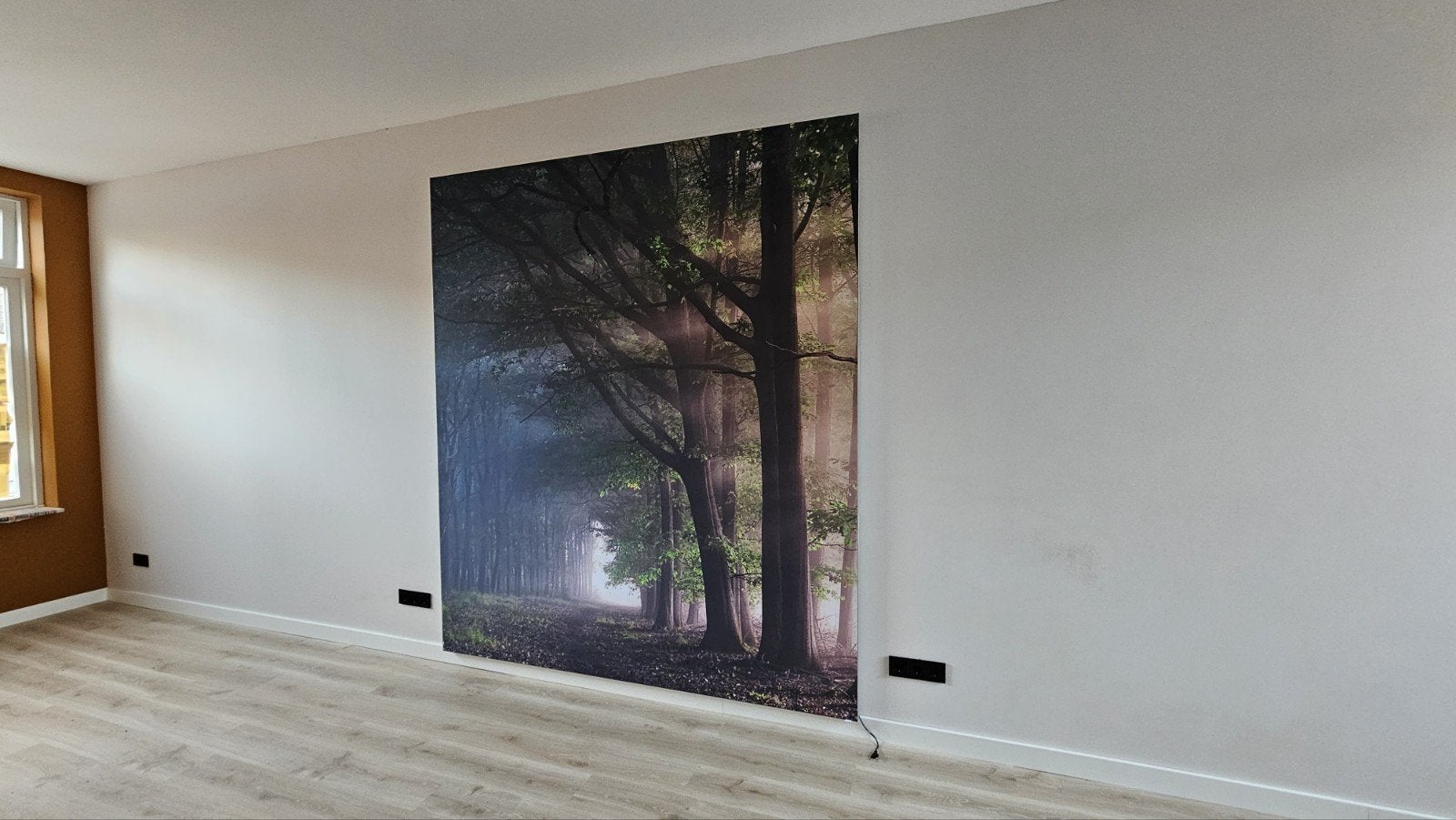 Akoestisch Fotodoek Bosgezicht met Zonnestralen, Ophalen, Meerkleurig, Zo goed als nieuw, Geluiddempend