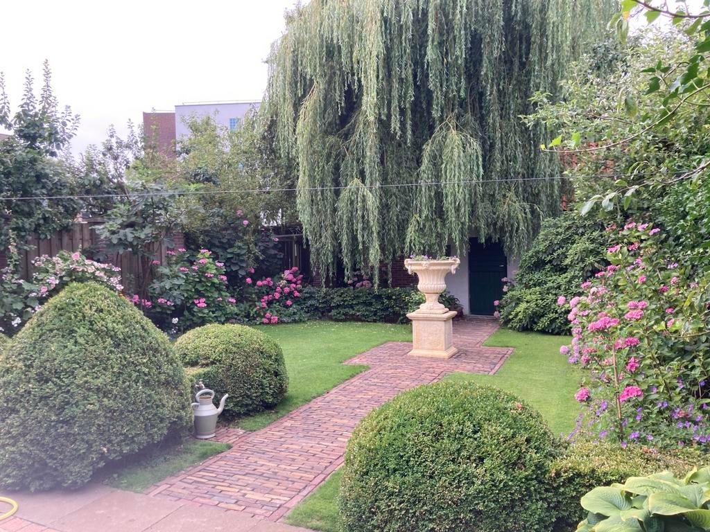 Onderhoud aan uw tuin?, Tuin en Terras, Planten | Bomen, Volle zon, Minder dan 100 cm, Zomer, Overige soorten