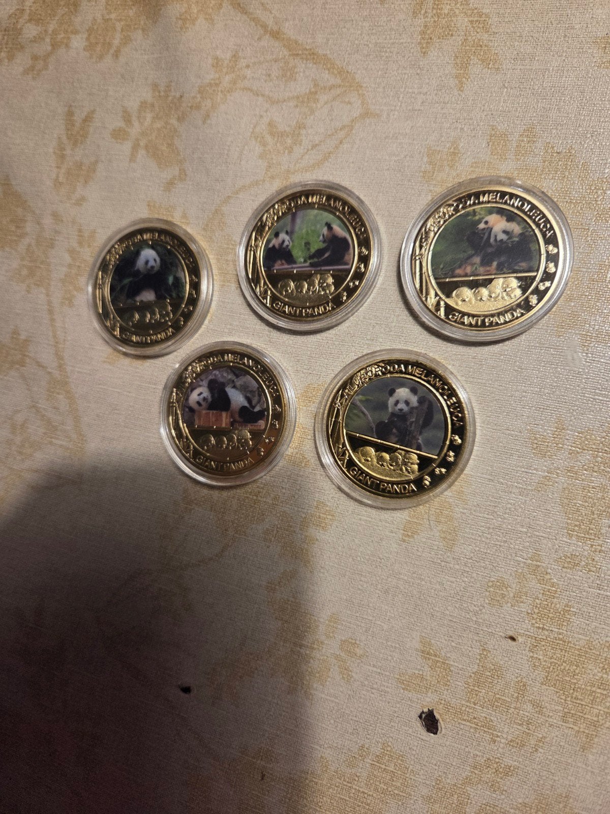 Set van 5 'Giant Panda' herdenkingsmunten, Ophalen of Verzenden, Overige landen, Setje