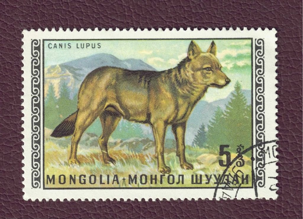 Fauna - Honden - Mongolia- 5 - Canis Lupus - gebr, Ophalen of Verzenden, Gestempeld, Dier of Natuur