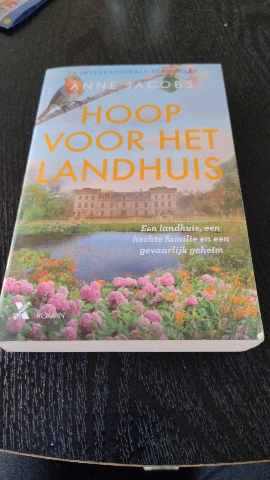 Hoop voor het Landhuis - Anne Jacobs (Roman), Ophalen of Verzenden, Zo goed als nieuw, Anne Jacobs, Europa overig