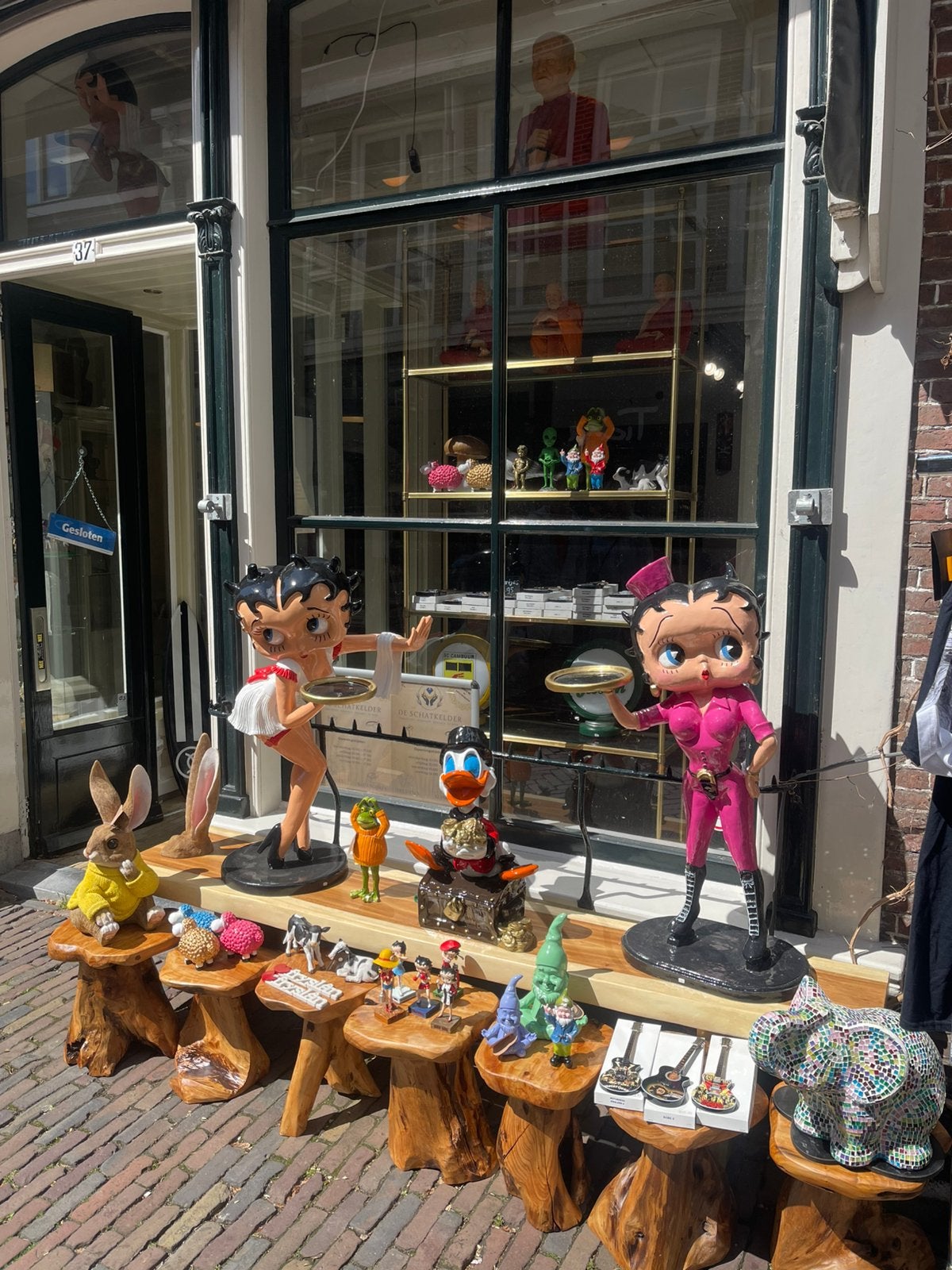 Nieuw in leeuwarden! Kom langs, Ophalen of Verzenden