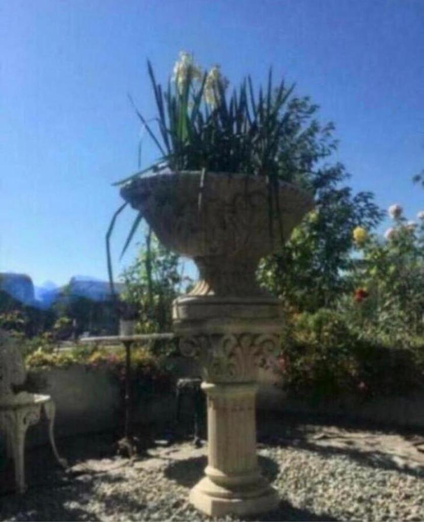 Grote antieke stenen plantenbak op sokkel Klassiek design, Tuin en Terras, Ophalen of Verzenden, Gebruikt