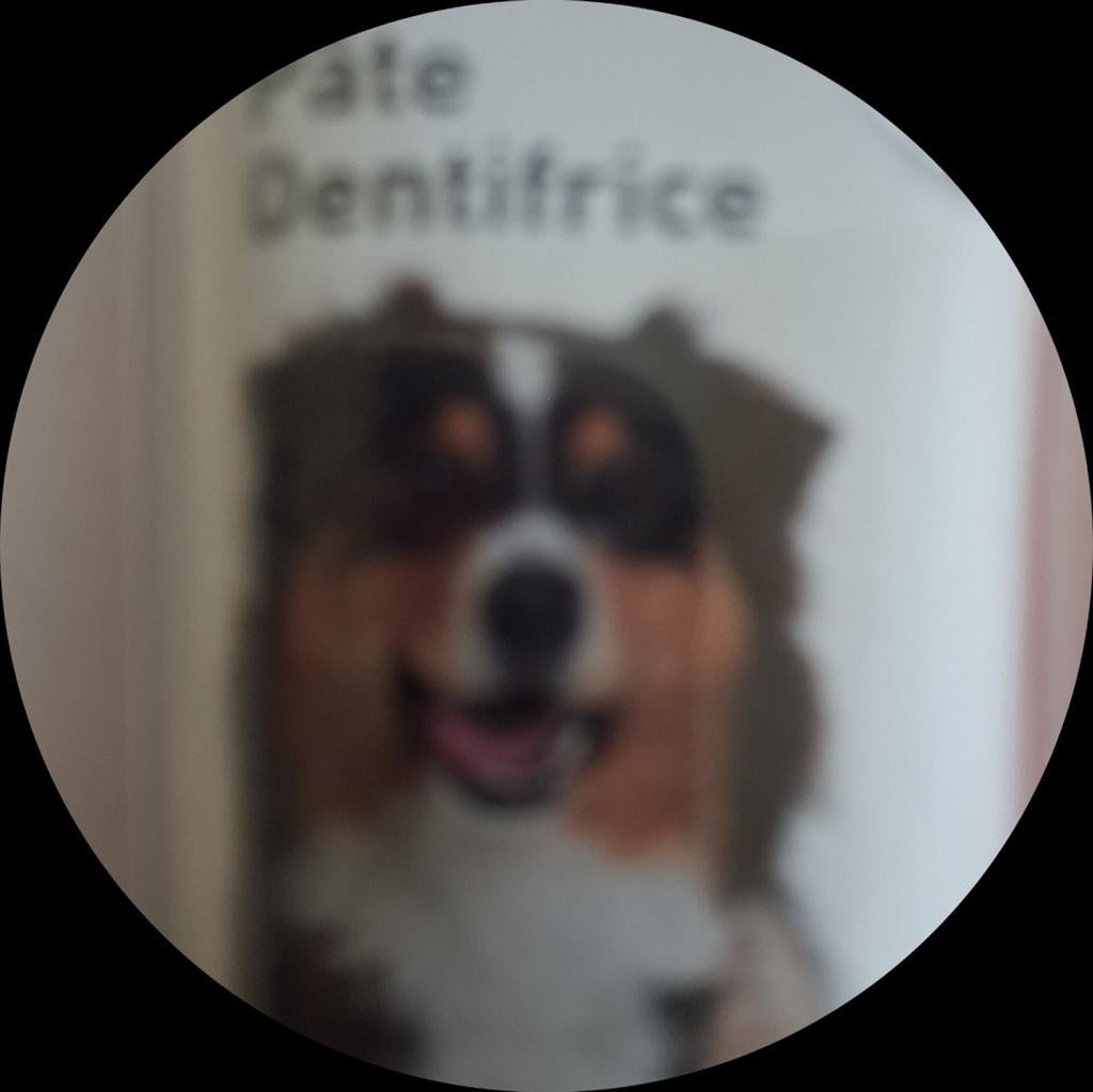 Honden Tandenborstel + Tandpasta, Dieren en Toebehoren, Ophalen of Verzenden, Nieuw