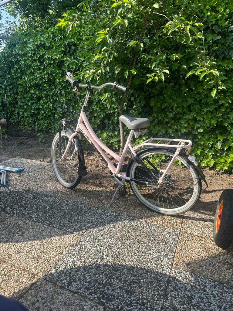 Sparta Pickup Damesfiets - Roze, Ophalen, Sparta, Gebruikt, Velgrem