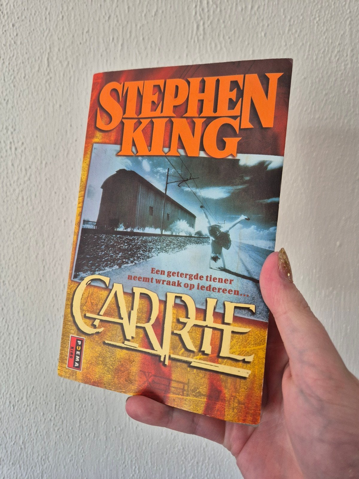 Stephen King Carrie (Nederlands), Ophalen of Verzenden, Gelezen