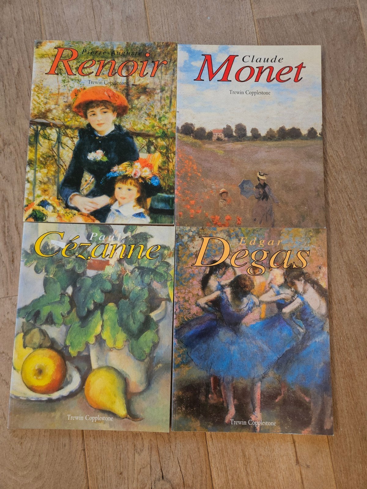 Kunstschatten: Renoir, Monet, Cézanne, Degas (4 boeken), Ophalen of Verzenden, Gelezen, Schilder- en Tekenkunst, Trewin Copplestone