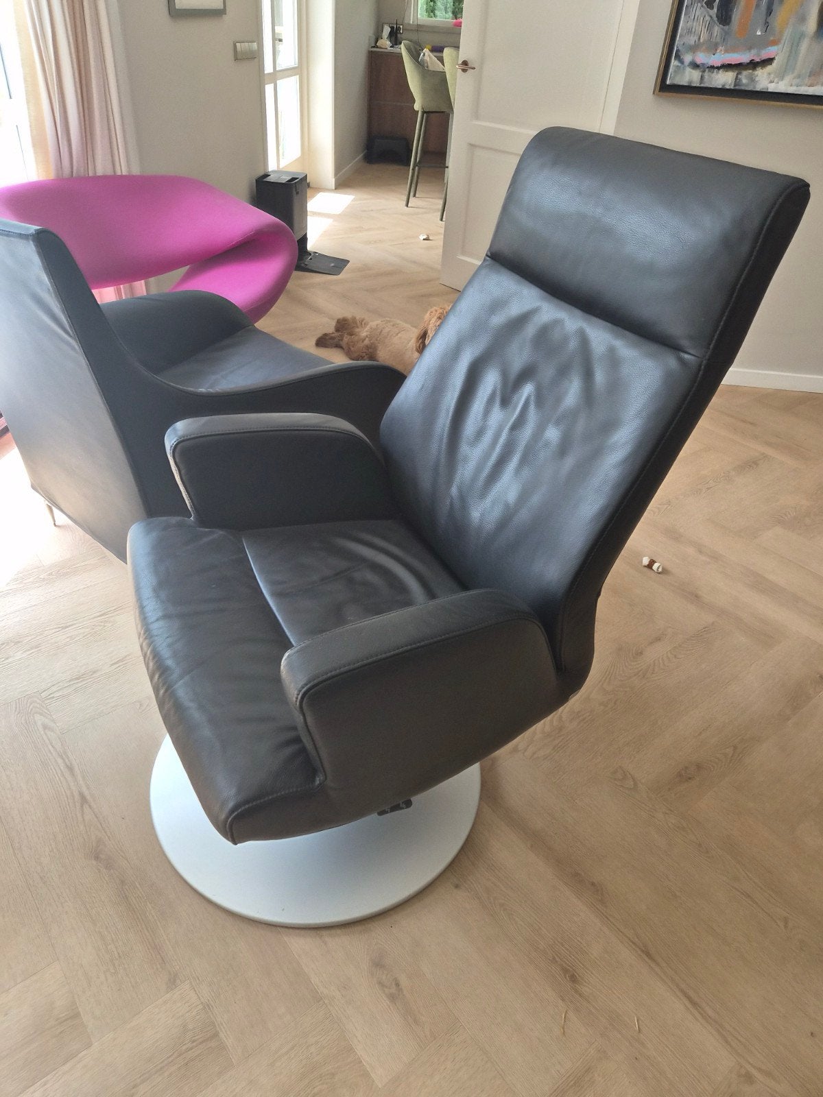 De Sede stoel DS 255, Ophalen, 75 tot 100 cm, Leer