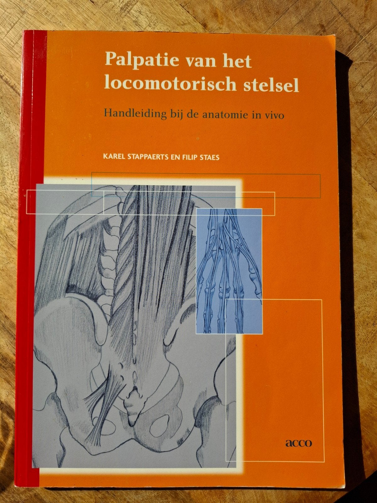 Palpatie van het locomotorisch stelsel - Anatomie in vivo, Boeken, Zo goed als nieuw, Karel Stappaerts en Filip Staes, Beta, HBO