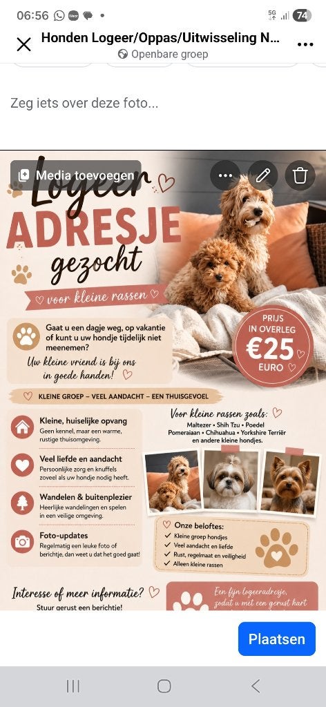 ️ Liefdevolle opvang voor kleine hondjes, Particuliere oppas