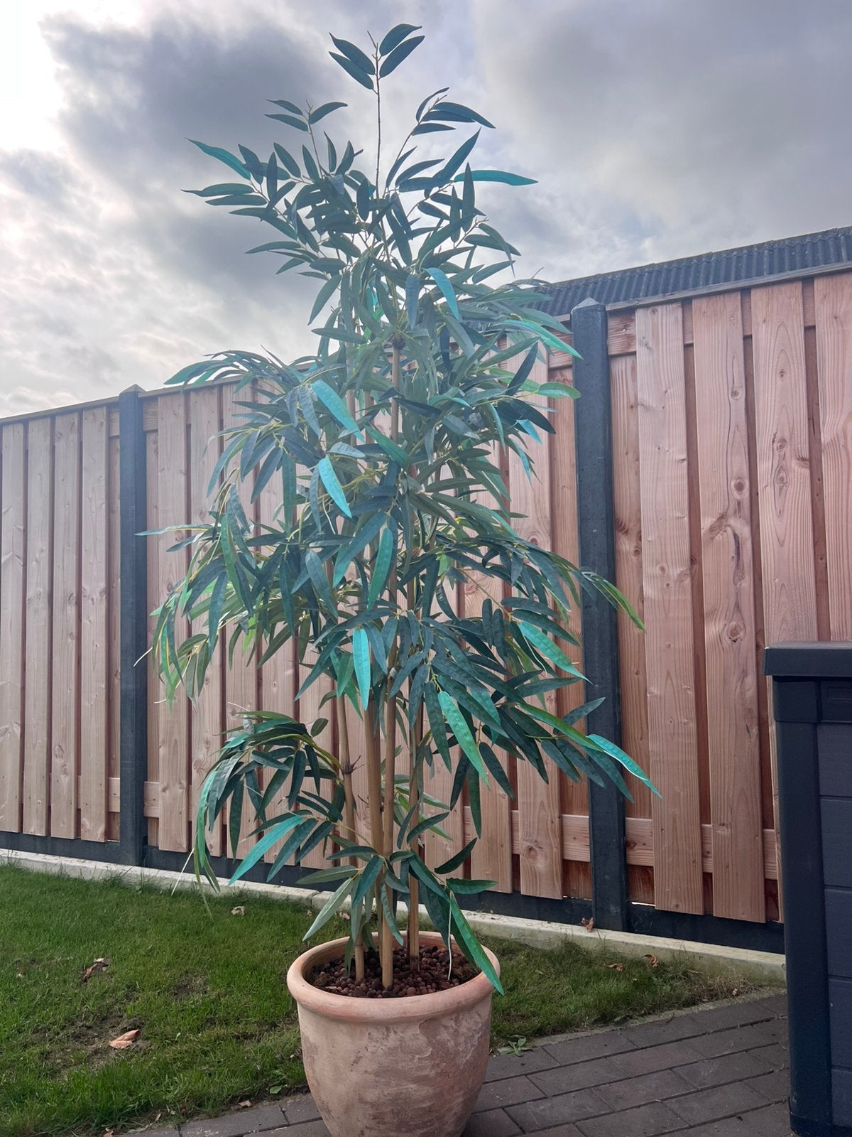 Grote kunst bamboe plant hoogte 185 elst utr ophalen, Tuin en Terras, Ophalen, Bloeit niet, Halfschaduw, Overige soorten