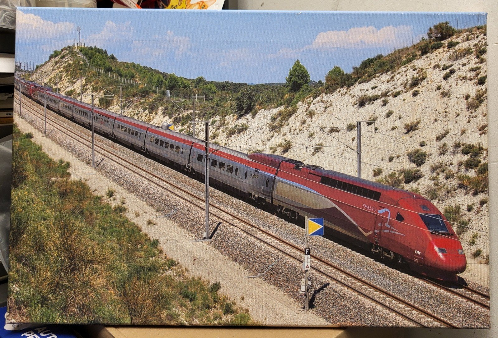 Canvas schilderij trein Thalys 40x60 cm, Ophalen, Gebruikt, Trein, Overige typen