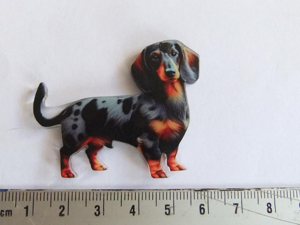 pin (speldje)  gevlekt teckelhondje, Verzenden, Nieuw, Overige onderwerpen