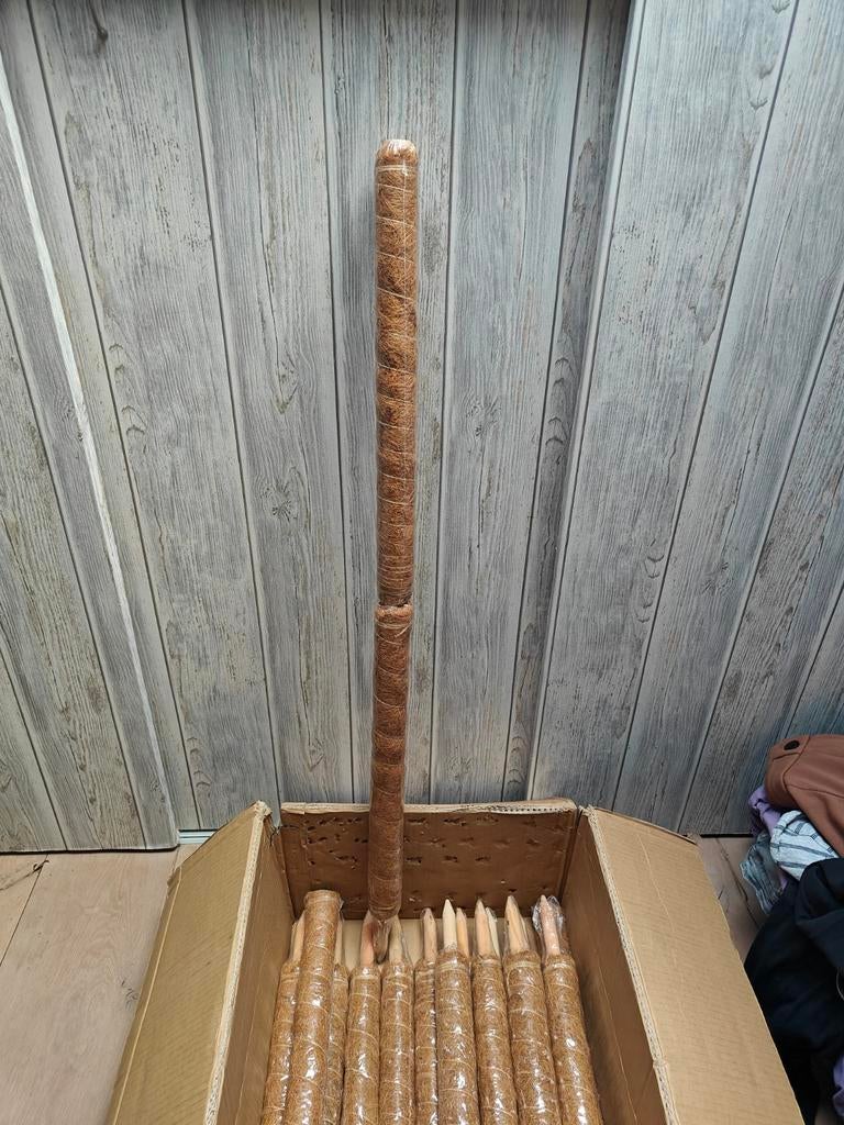 Plantenstokken - 60cm, Ophalen of Verzenden, Nieuw, Overige merken